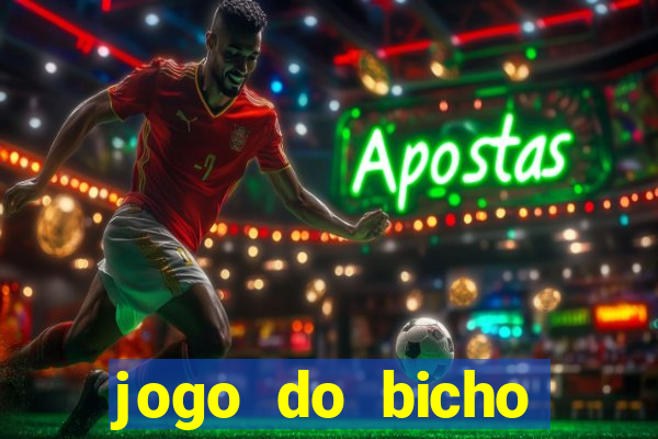 jogo do bicho crash bingo